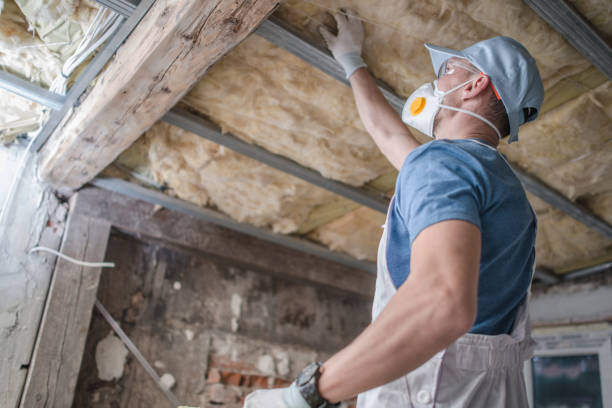 Best Wall Insulation Contractor  in West Belmar, NJ