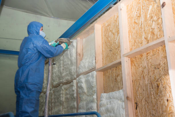 Best Soundproof Insulation Installation  in West Belmar, NJ